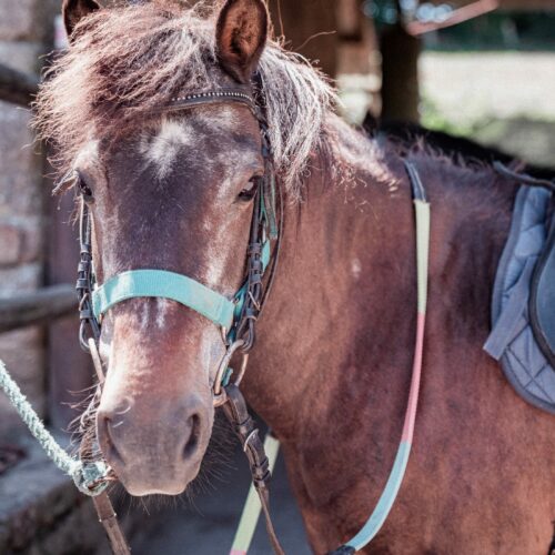 ballade shetland mont saint michel avranches 50