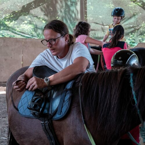 delphine mesange. centre equestre du grand fougeray avranches